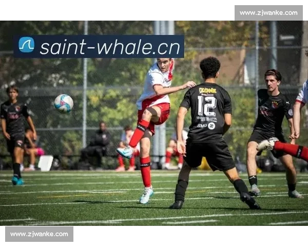 全球热门体育赛事高清直播与回放在线观看平台指南畅享即时比赛精彩